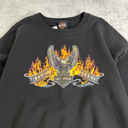 2010 Harley Davidson Florida Sweatshirt size L
