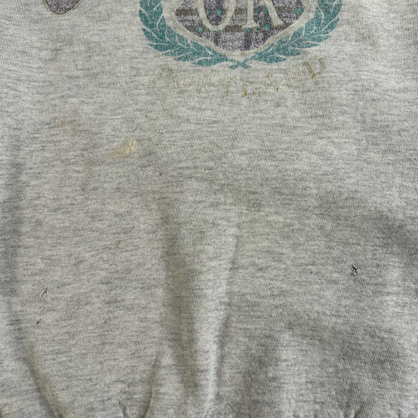 90's Oregon Sweatshirt size XXL