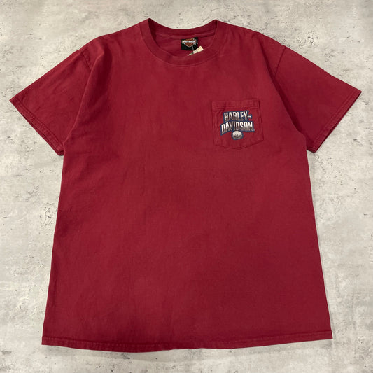 Harley Davidson T-Shirt Size Large