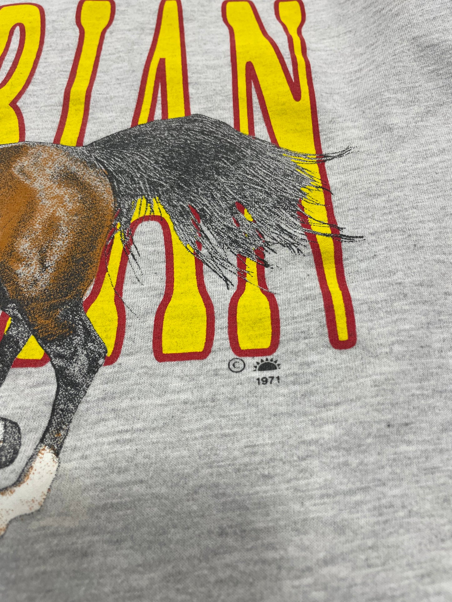 Adrian RJ Cuil 90s Horse Graphic Tshirt