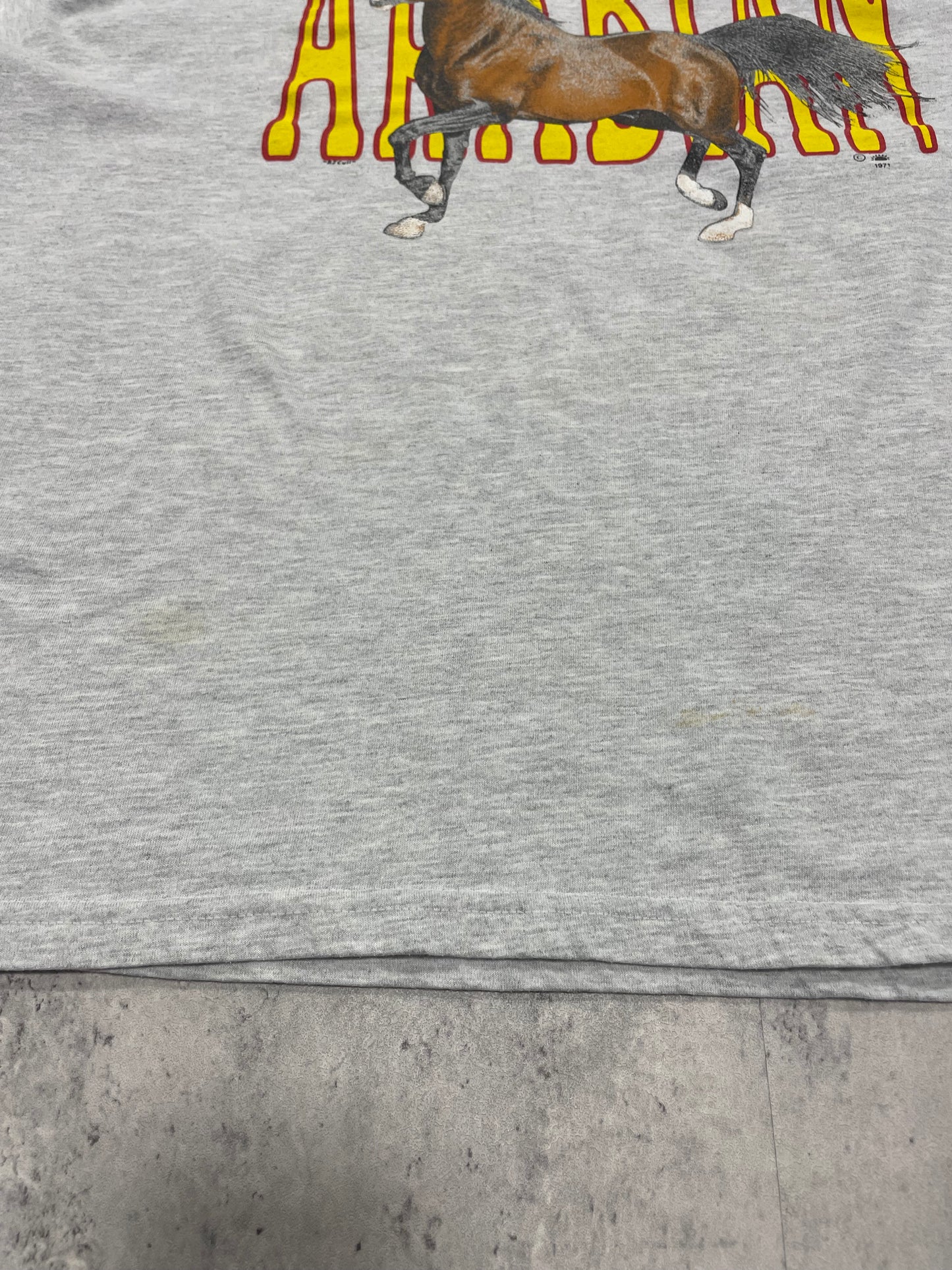 Adrian RJ Cuil 90s Horse Graphic Tshirt